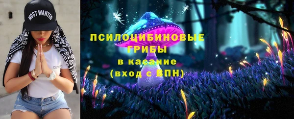 прущая мука Краснослободск