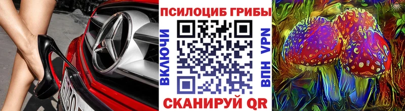 Купить  Симферополь  Псилоцибиновые грибы мухоморы 
